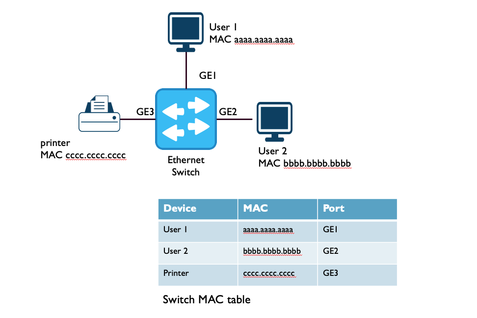 Switches Networks Learning